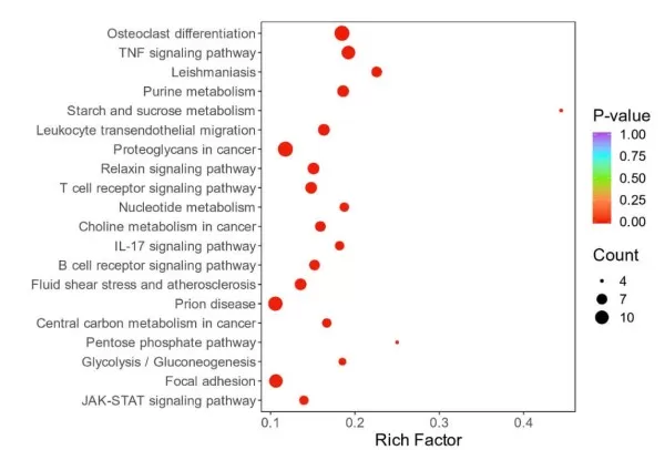 figure 4. GOKEGG enrichment analysis plot for proteins